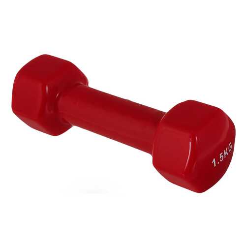 Гантель обрезиненная Bradex SF 0271 1,5 кг в Декатлон